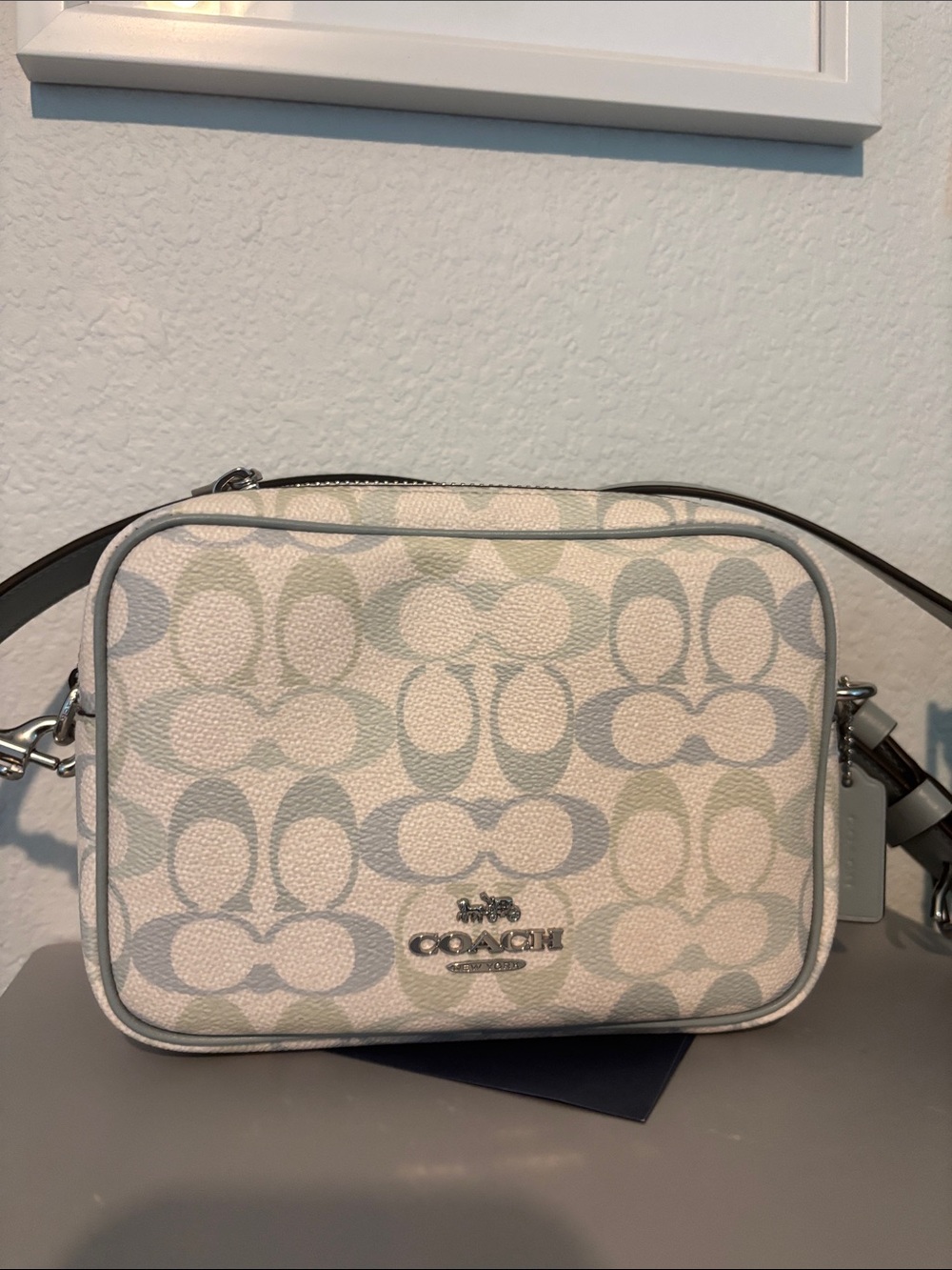 Coach Crossbody Camera Bag in Pastel Green, Gray & Cream